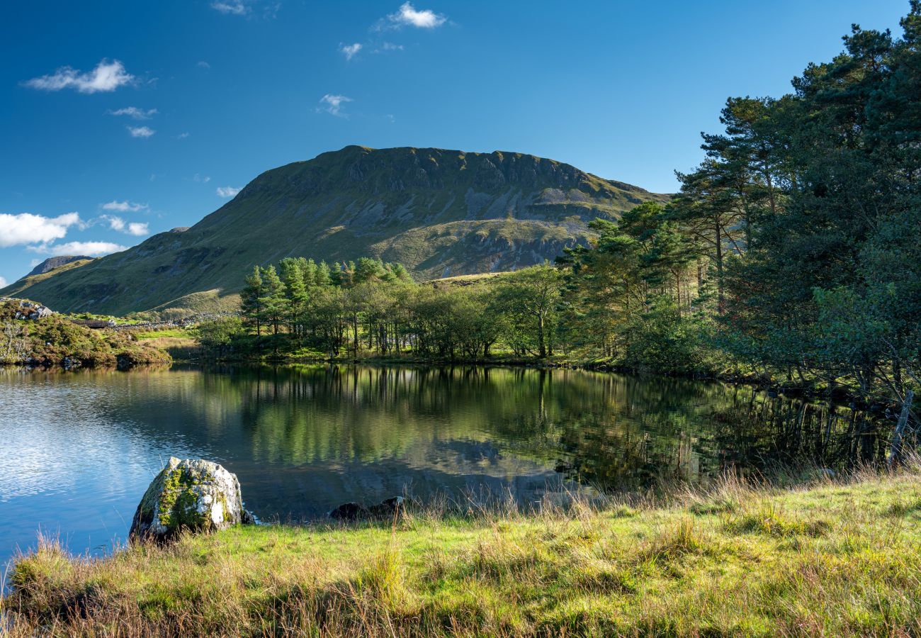 Huis in Dolgellau - Snowdonia Manor (Y Llwyn Manor)