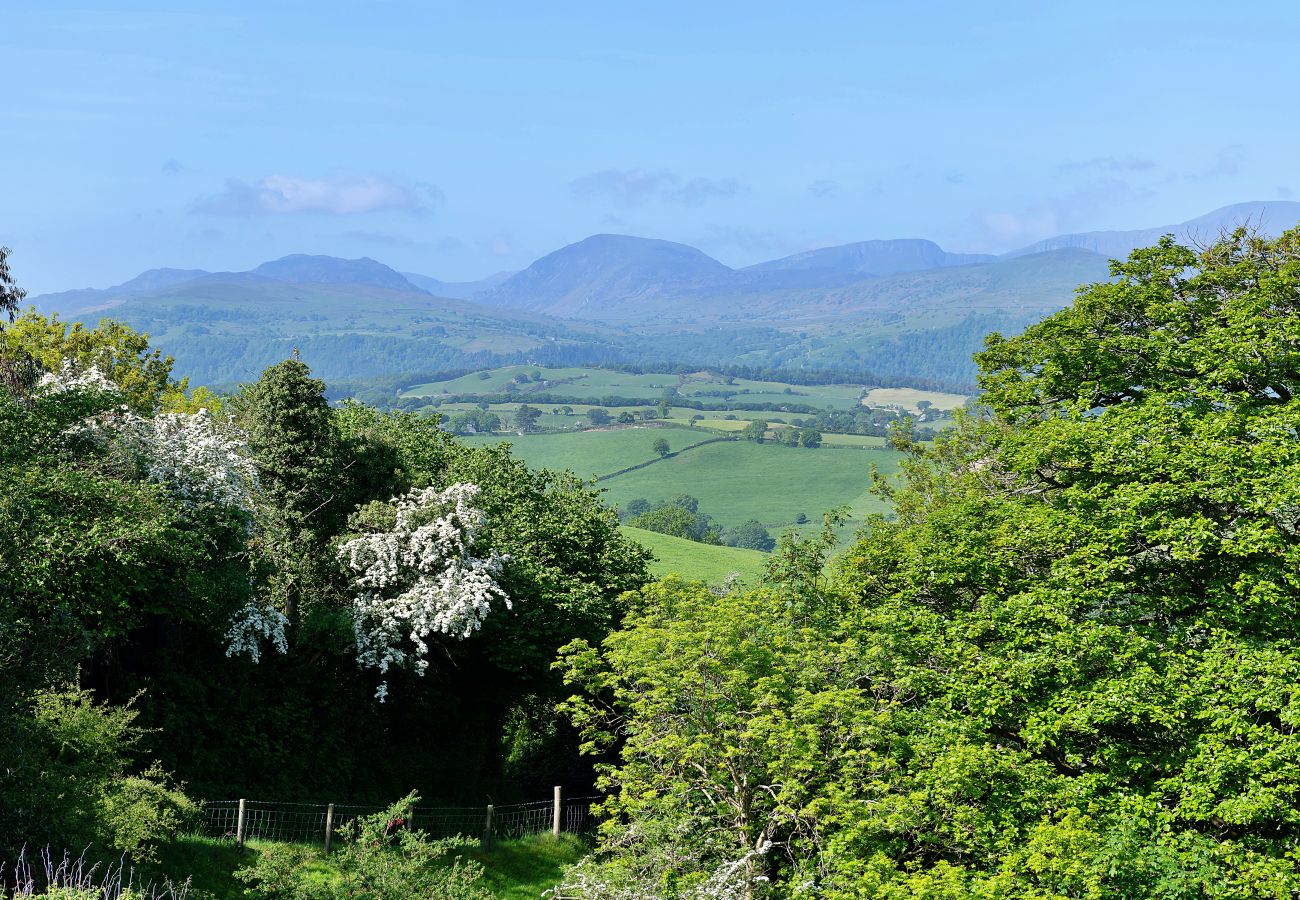 Cottage in Eglwysbach - Red Kites Retreat