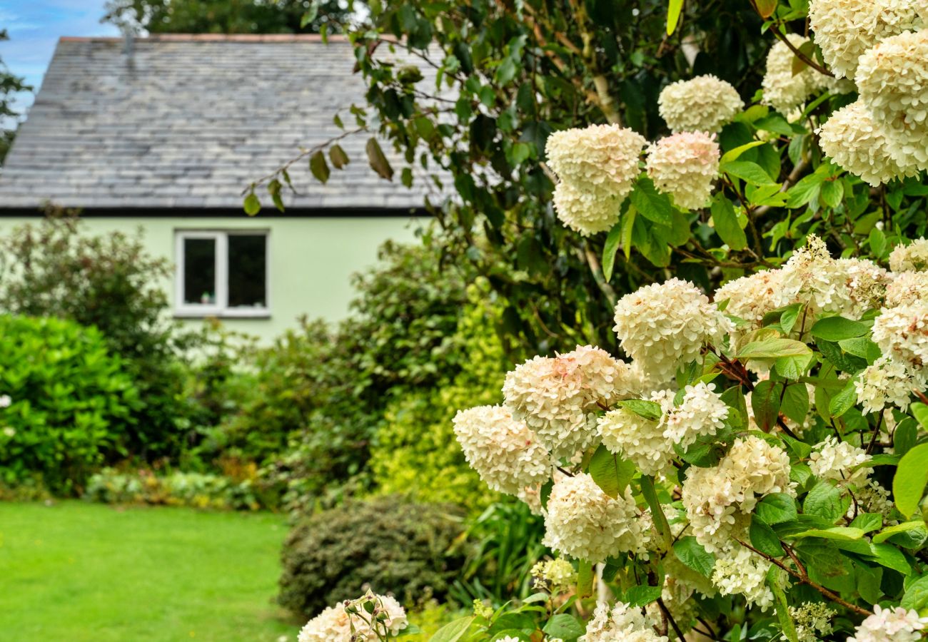 Chalet in Boscastle - Skylarks