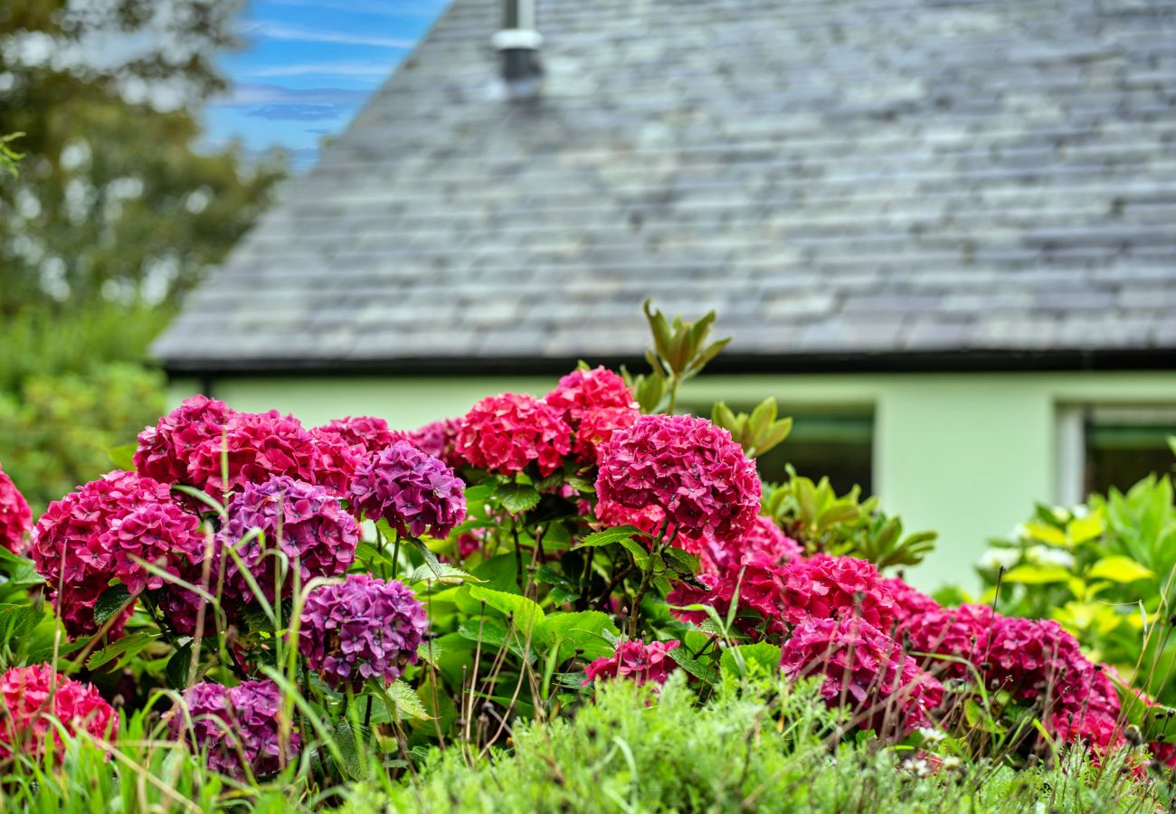 Chalet in Boscastle - Skylarks