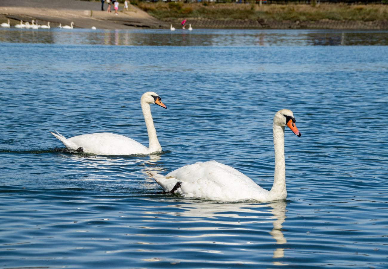 Appartement in Burnham-on-Crouch - Kings Wharf