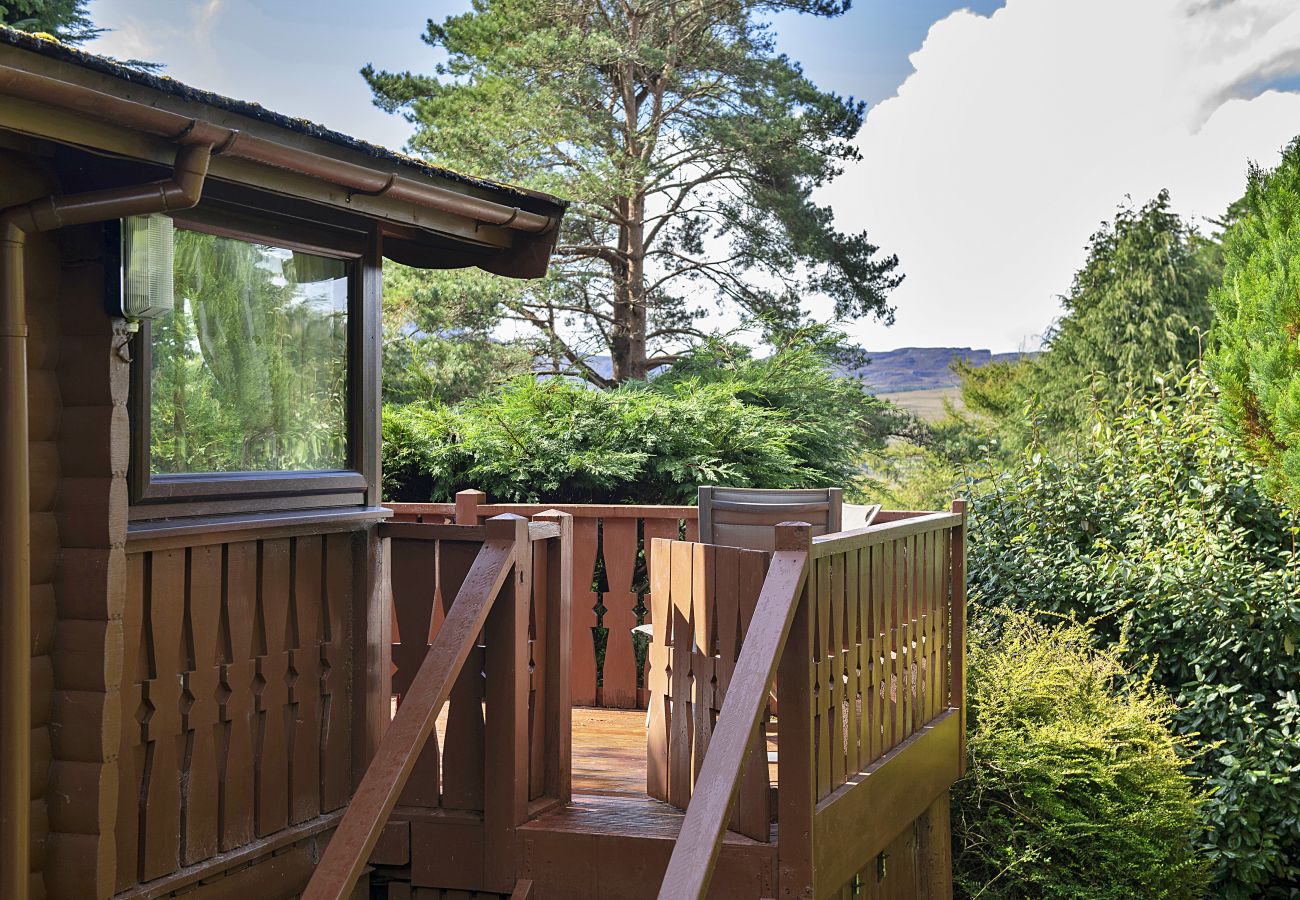 Houten huisje in Trawsfynydd - Mountain View