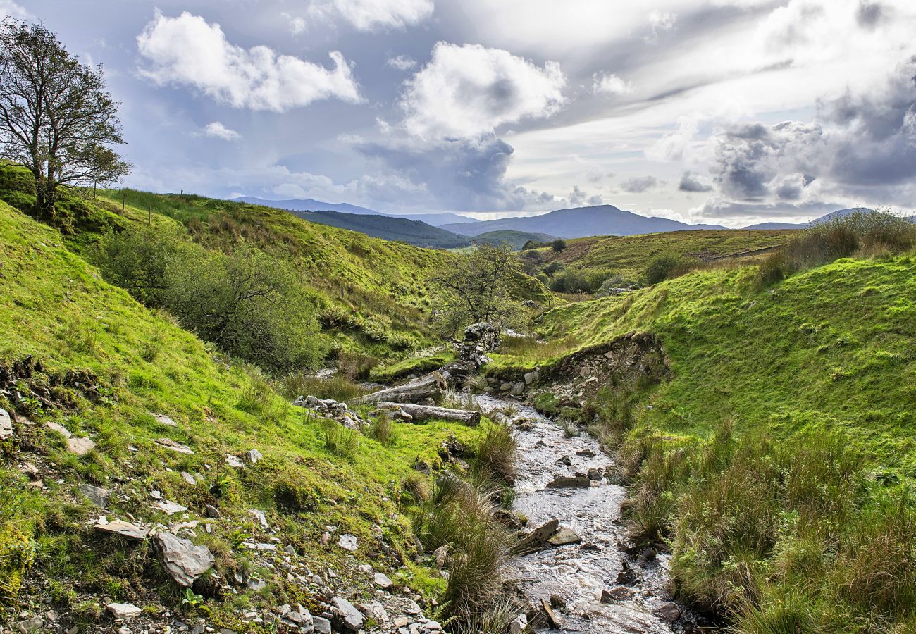 Houten huisje in Trawsfynydd - Mountain View