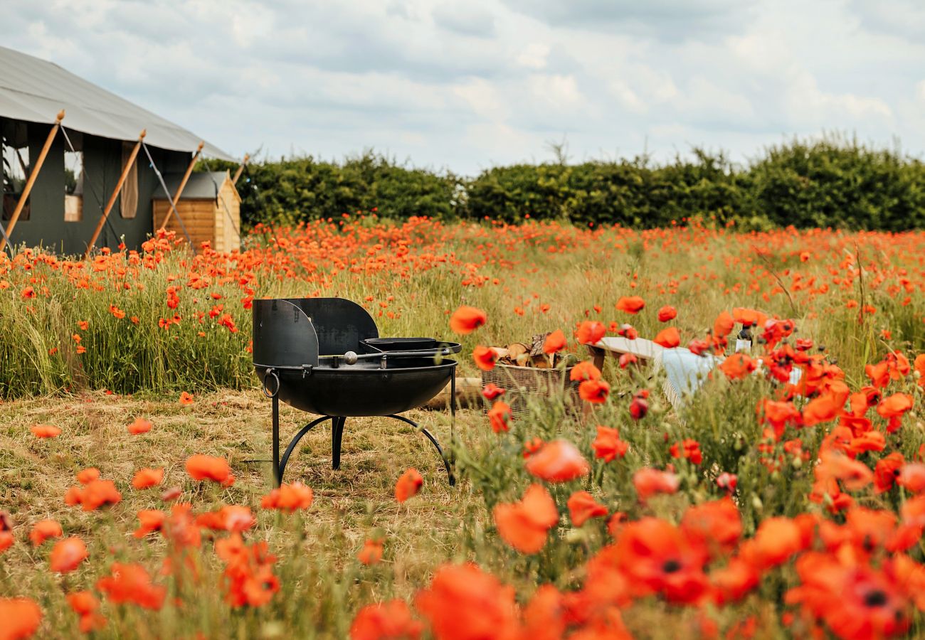 Chalet in Walsingham - Foxley Lodge