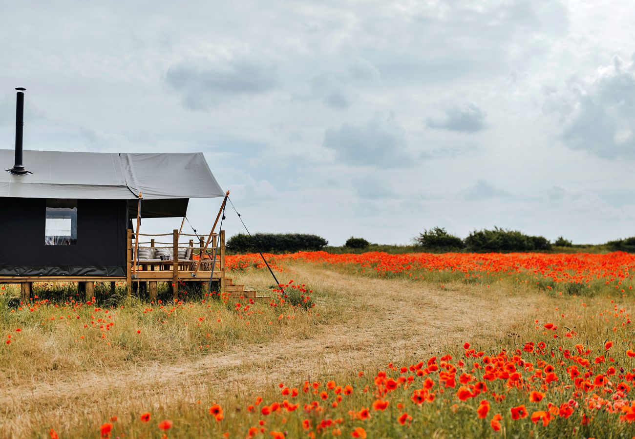 Chalet in Walsingham - Owls Nest