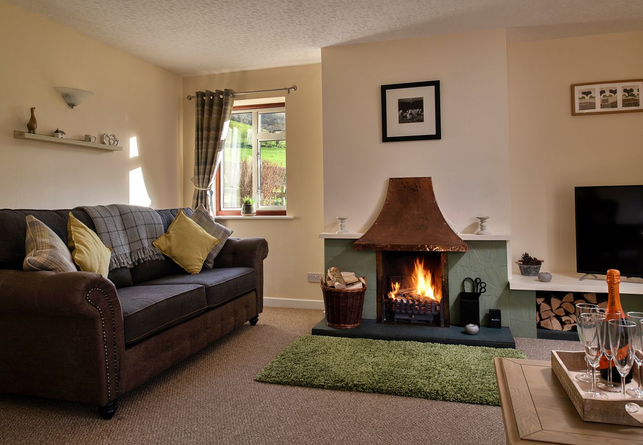 Cottage in Aberhafesp - Tan-Y-Dderwen