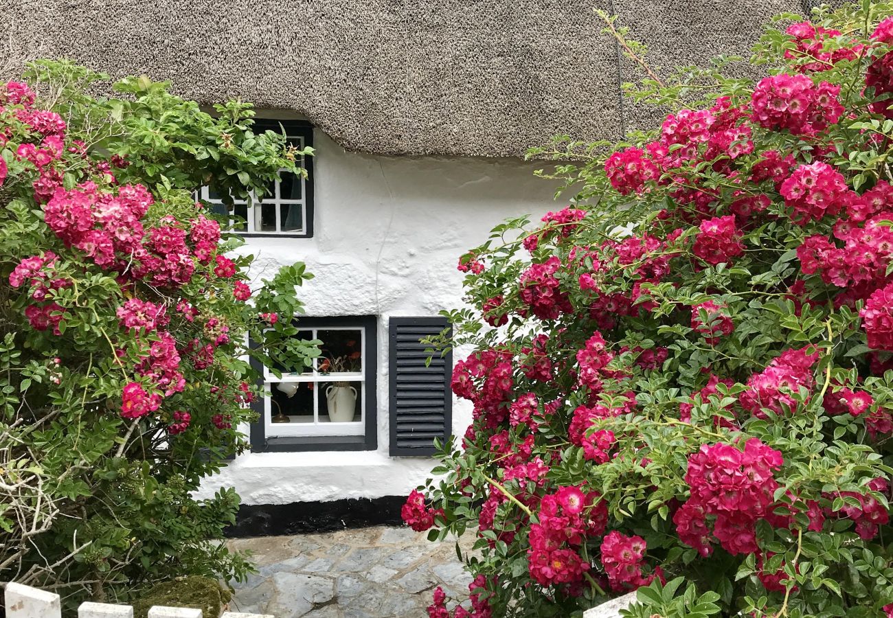 Cottage in Sennen - Lewcott