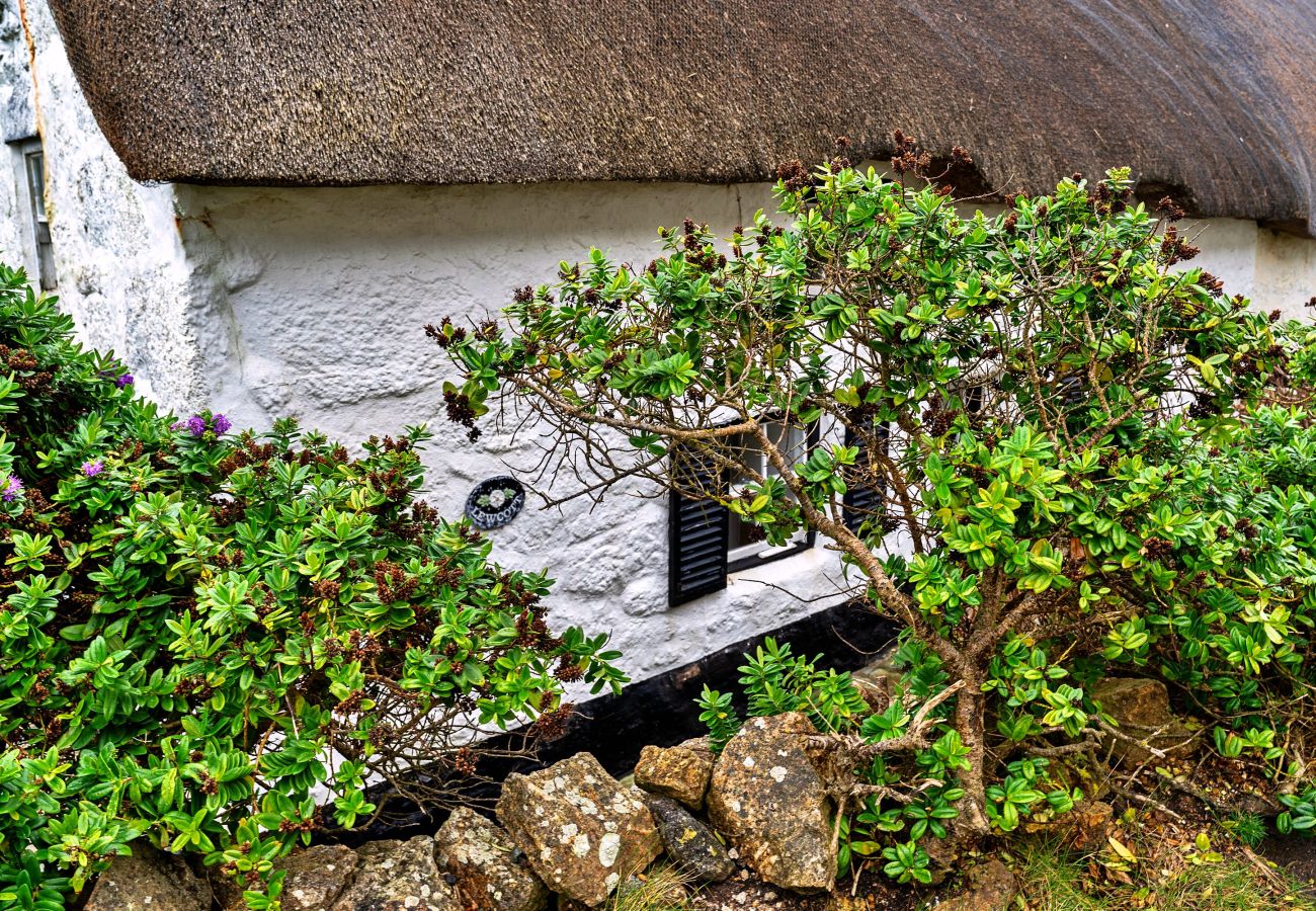 Cottage in Sennen - Lewcott