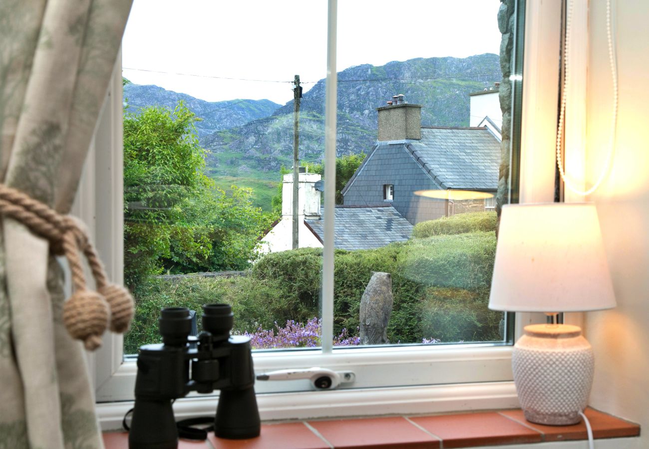 Cottage in Blaenau Ffestiniog - Brondderwen