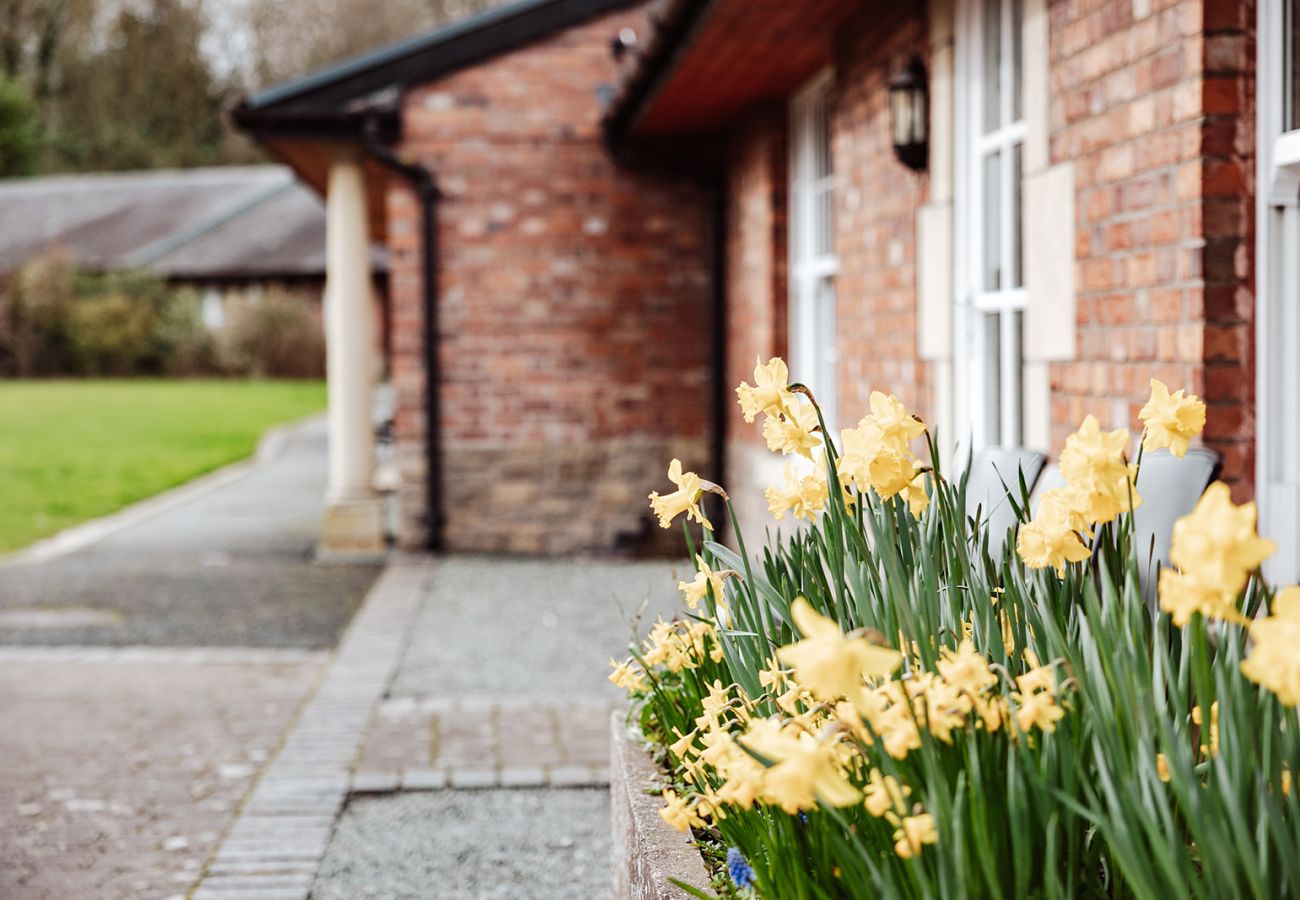 Cottage in Dorrington - Netley Hall - Camelia