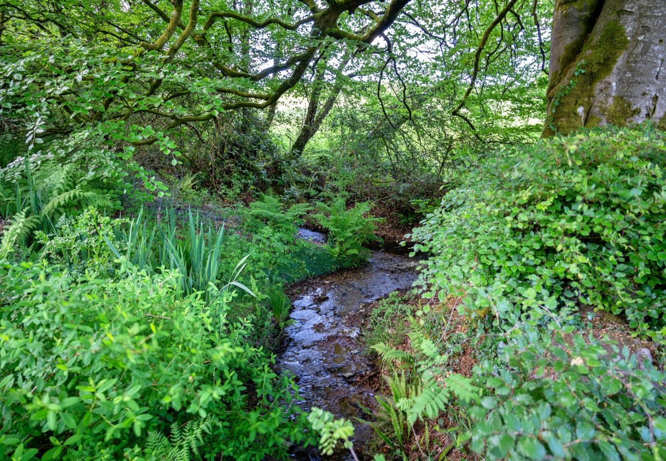 Studio in Muddiford - Dingles Farm Annexe