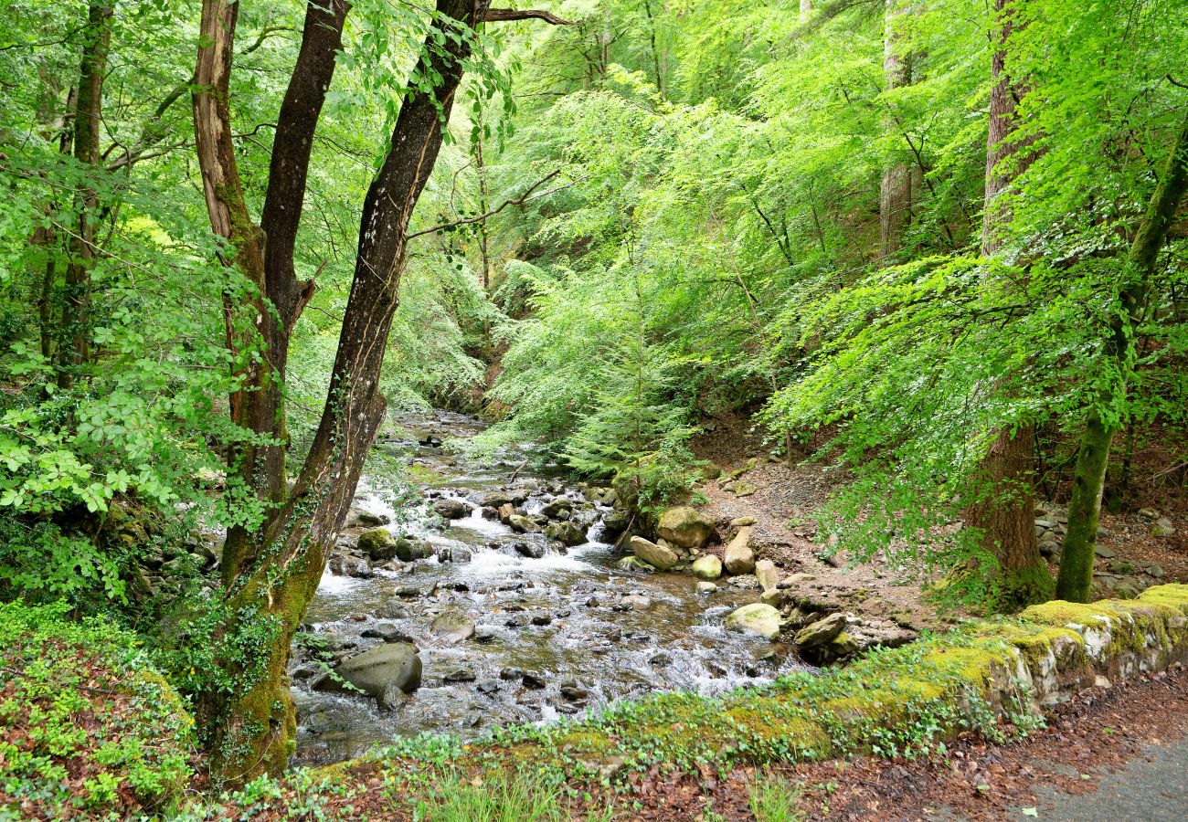 Cottage in Dolgellau - Hermon Bach