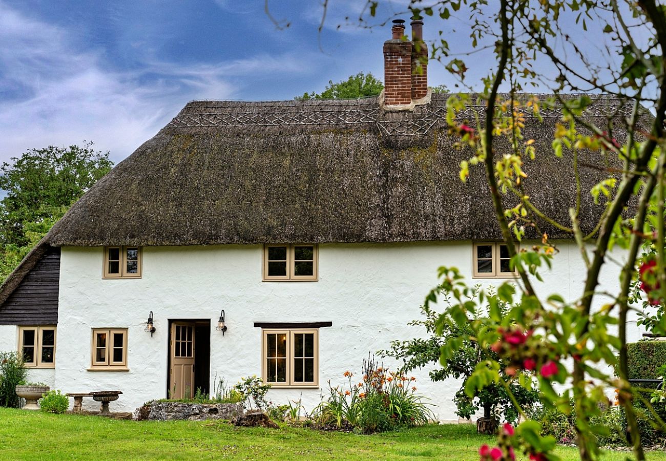 Cottage in Winterborne Houghton - The Thatch at Winterborne Houghton