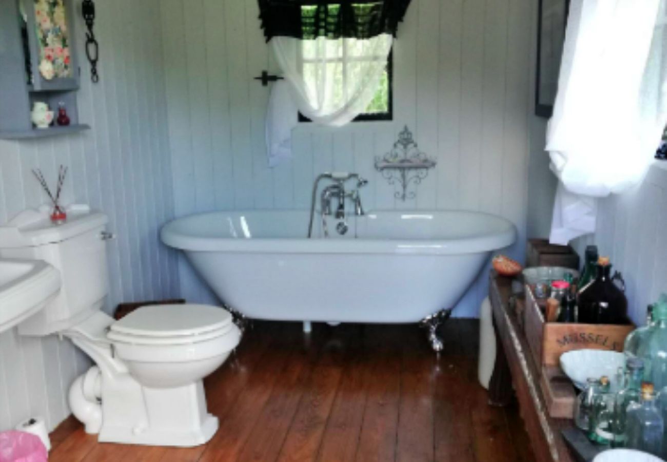 Chalet in Romsey - Shepherd's Hut at Hilltop Farm