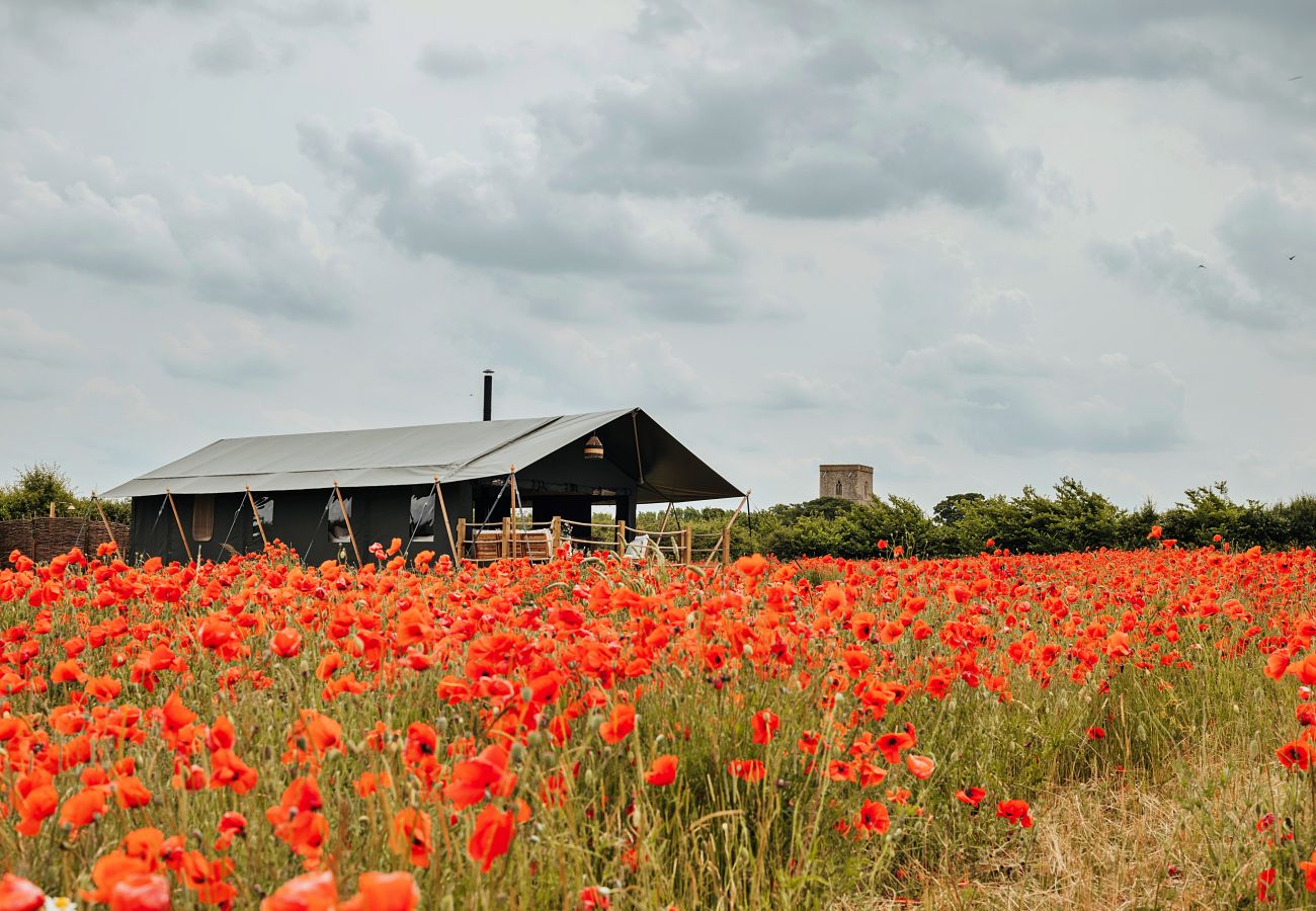 Chalet in Walsingham - Foxley Lodge