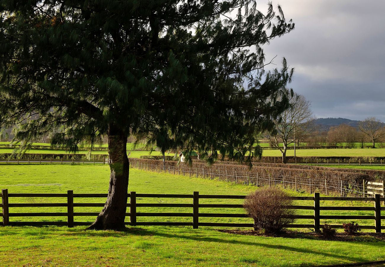 Cottage in Aberhafesp - Tan-Y-Dderwen