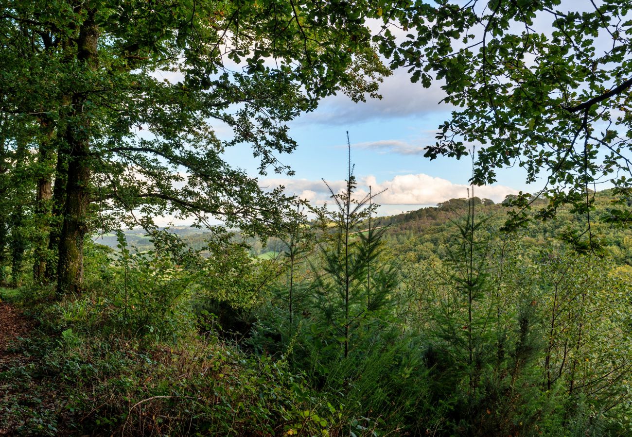 Cottage in Umberleigh - Forest Park Lodge