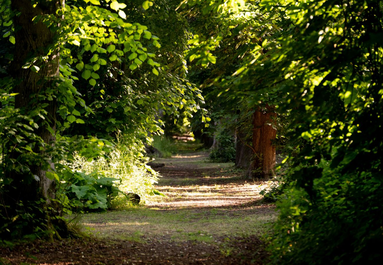 Chalet in Woolton Hill - Jungle Bell Tent